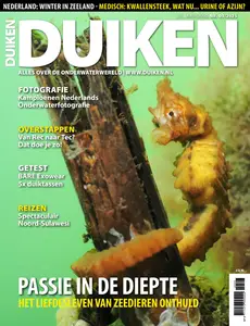Duiken - Maart 2025