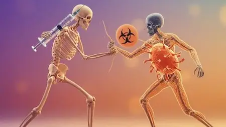 Fundamentals Of Immunology  And Vaccination