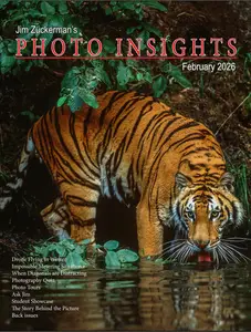 Photo Insights - February 2026