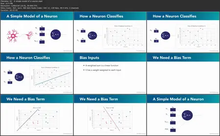 Training Neural Networks in Python [Repost]