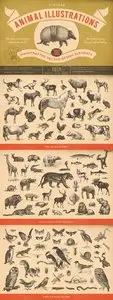 Vector 100 Vintage Animal Illustrations