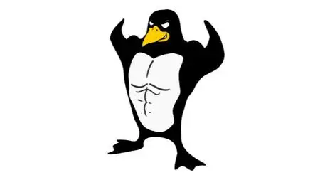 Linux basics and most needed commands with real examples