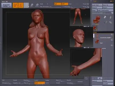 Zbrush 3.01 Human Anatomy Female