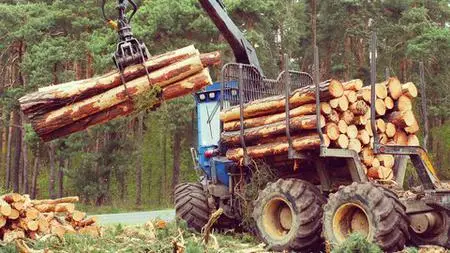 Forestry 4.0 - The Forestry Industry In Industry 4.0