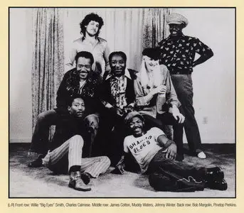 Muddy Waters - Hard Again (1977) Japanese Reissue 2004