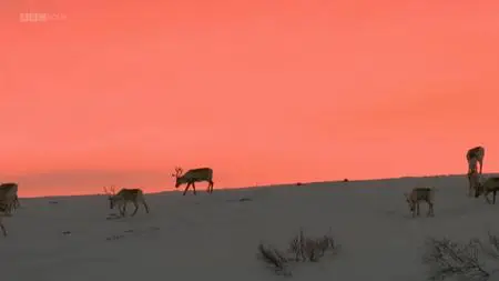 BBC - All Aboard: The Great Reindeer Migration (2018)