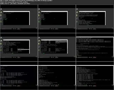 Ethernet Operation and Switch Configuration