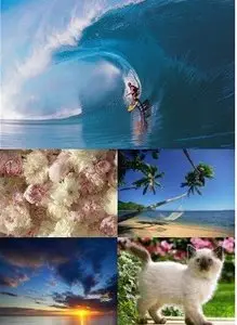 Wallpapers Premium Collection