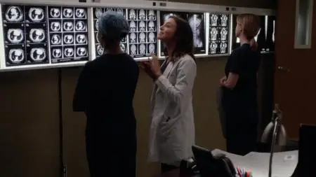 Grey's Anatomy S12E23