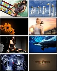 LIFEstyle News MiXture Images. Wallpapers Part (142)