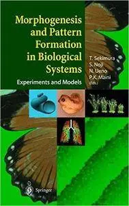 Morphogenesis and Pattern Formation in Biological Systems: Experiments and Models