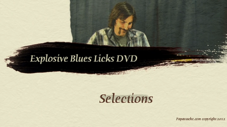 Papastache: Blues and Shred Lick's DVD's - with Brett Papa