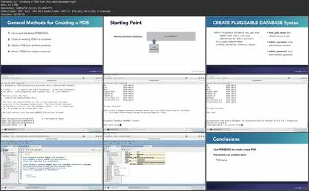 Oracle Database 19c: Multitenant Architecture [Updated: 2/29/2024]