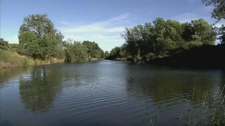 Water Life - Water's Journey (2009)