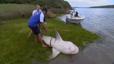 ITV - River Monsters: Series 2 (2010)