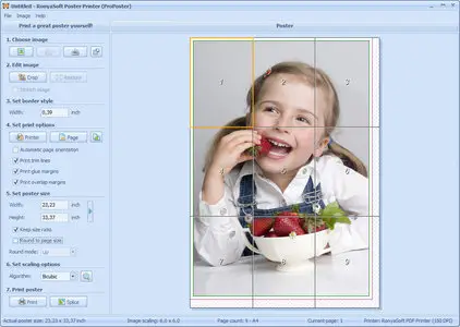 RonyaSoft Poster Printer 3.01.24 Portable