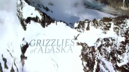 BBC Natural World - Grizzlies of Alaska (2012)