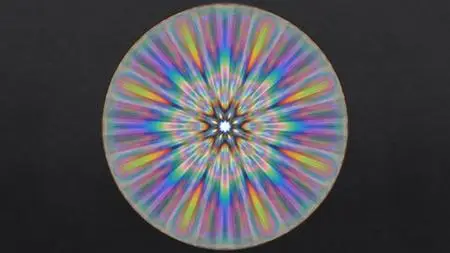 Divinorum School - Expert