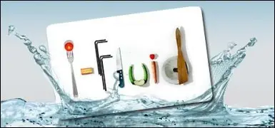 Portable I-Fluid 1.0 Multilang