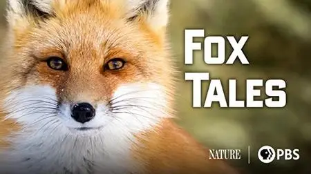 PBS Nature - Fox Tales (2017)