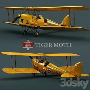 3DSky Pro - Tiger moth