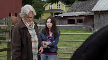 Midnight Stallion (2013)