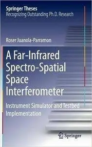 A Far-Infrared Spectro-Spatial Space Interferometer: Instrument Simulator and Testbed Implementation