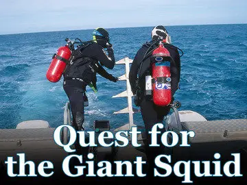 Discovery Channel - Quest for the Giant Squid (2000)