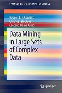 Data Mining in Large Sets of Complex Data