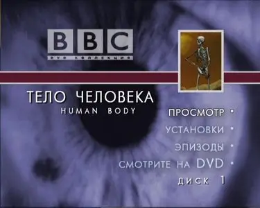 BBC - The Human Body