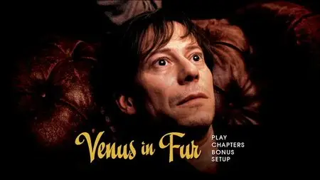 Venus in Fur (2013)