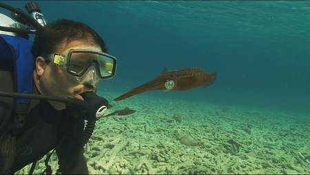 Ocean Odyssey The Blue Realm (2004-2008)