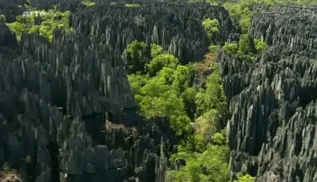 (Arte) Madagascar (2011)