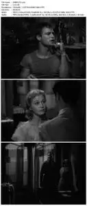 A Streetcar Named Desire (1951)