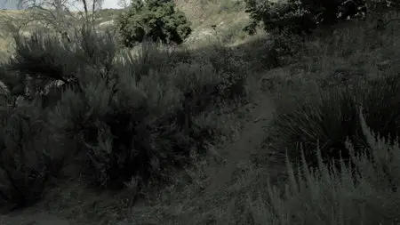 Battle Force (2011)