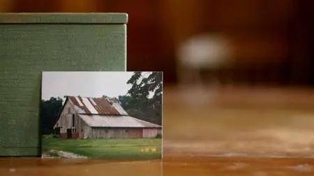 Sustainable (2016)