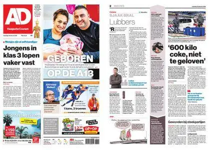 Algemeen Dagblad - Delft – 19 februari 2018