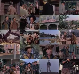 The Texas Rangers (1951)