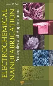 Electrochemical Nanofabrication: Principles and Applications (repost)