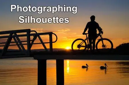 Photographing Silhouettes: The Skills to Create a Simple Image