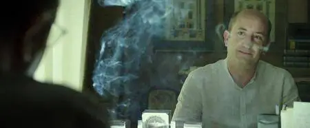 L'abbiamo fatta grossa (2016)