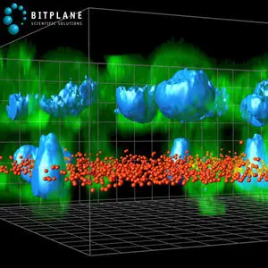 Bitplane Imaris v7.1.1 Win64