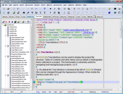WinEdt v5.5 B20070716