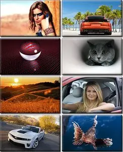 Computer Desktop Wallpapers Collection. Part (618)