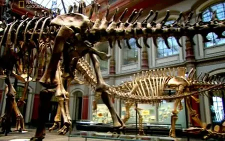 National Geographic - Evolutions (2008) DVDRip