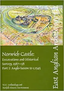 Norwich Castle: Excavations and Historical Survey 1987-98. Part I Anglo-Saxon to c.1345