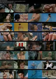 Erotica (1961)