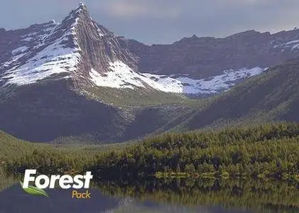 Forest Pack Pro 6.1.2 for 3ds Max 2018 – 2019