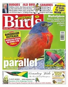 Cage & Aviary Birds – 17 September 2014