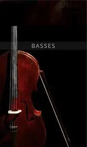 Auddict United Strings of Europe: Basses KONTAKT